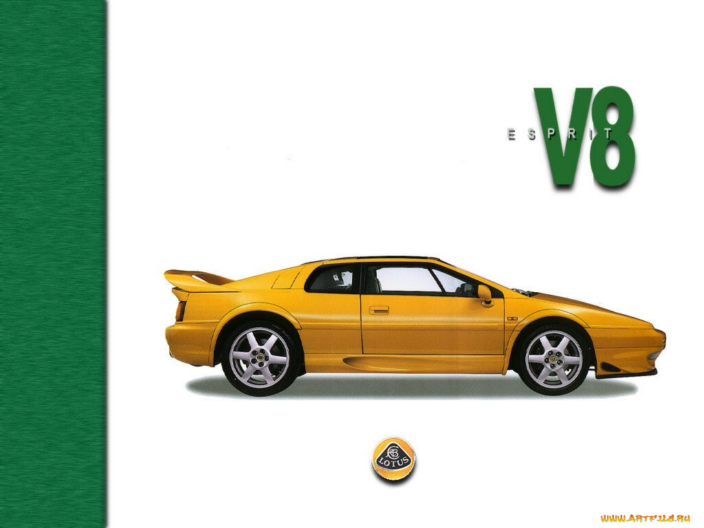 , lotus